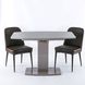 Стол обеденный Милан-1 (стекло мат), TES MOBILI, матовая стеклянная столешница, цвет капучино, нога тортора (28436) фото 6